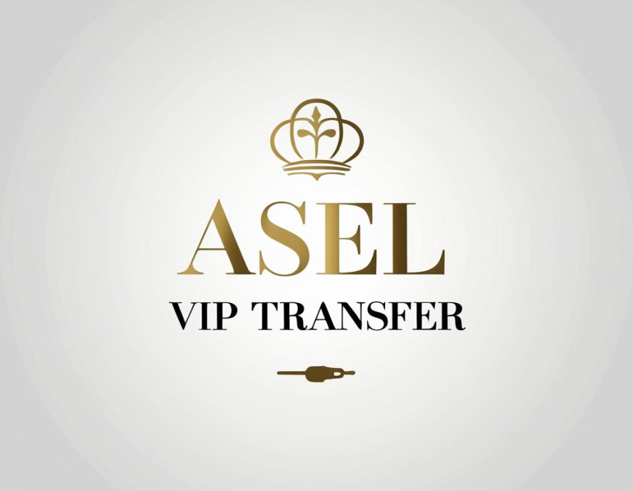 VIP Transfer Logo with Gold Elements